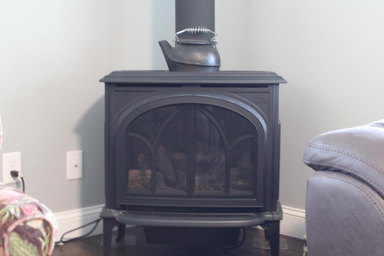 Вилла Maple Leaf Acre Williston Экстерьер фото